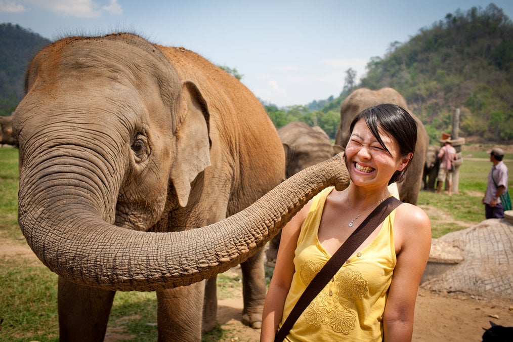 Photo credit: Beyond Neon via Flickr How to Volunteer at an Elephant Sanctuary in Thailand